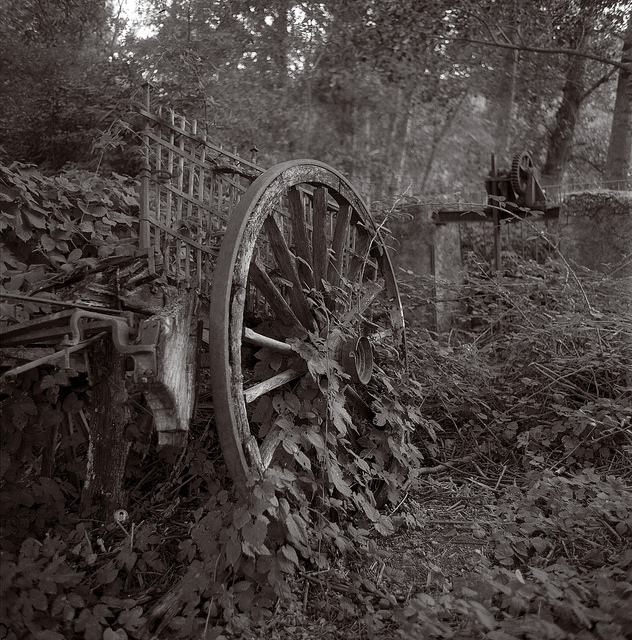 bw6